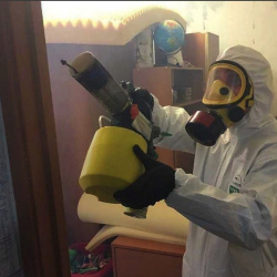 Уничтожение клопов в квартире. Кожуховская
